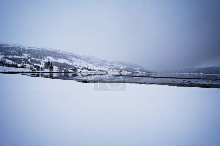 Foto de Paisaje nevado naturaleza en tromso, norway - Imagen libre de derechos