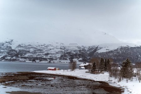 Foto de Paisaje nevado naturaleza en tromso, norway - Imagen libre de derechos