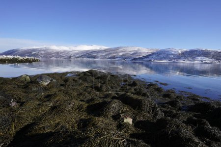 Téléchargez les photos : Reflet de la montagne sur la mer nordique nord en tromso - en image libre de droit