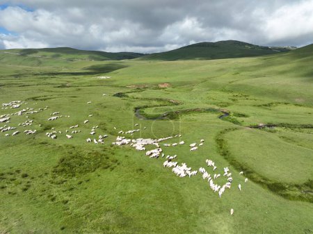 Foto de Vista aérea de las montañas meseta y meandros con ovejas - Imagen libre de derechos
