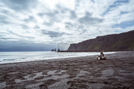 Téléchargez les photos : Vue aérienne du littoral et des montagnes islandais - en image libre de droit