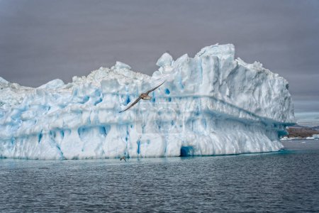 Foto de Iceberg vista aérea en Groenlandia en el océano Ártico - Imagen libre de derechos
