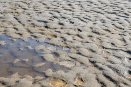 Téléchargez les photos : Sol lagunaire sec avec sable ondulé, formes granulaires et un peu d'eau de mer - en image libre de droit