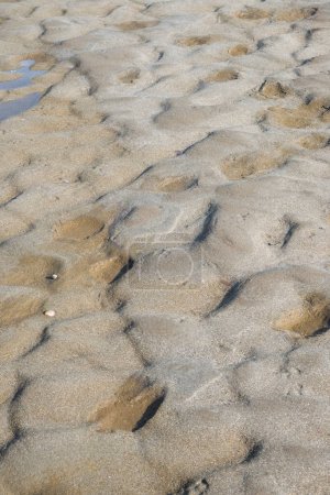Téléchargez les photos : Sol lagunaire sec avec sable ondulé, formes granulaires et un peu d'eau de mer - en image libre de droit