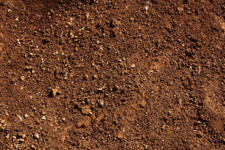 Téléchargez les photos : Fond de sol rouge aux formes claires, sol rocheux naturel - en image libre de droit