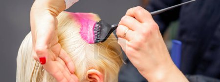 Photo for Applying pink dye with the brush on the white hair of a young blonde woman in a hairdresser salon - Royalty Free Image
