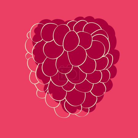 Téléchargez les illustrations : Framboise rouge sur un fond rose vif. Les raisins sont moelleux et mûrs, prêts pour la récolte - en licence libre de droit