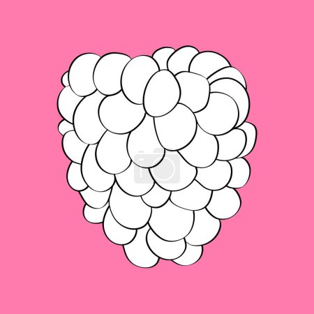 Illustration for Black and white raspberry, fresh and juicy, sits atop a soft pink background. The vibrant raspberry fruit contrasts beautifully with the delicate pink hue, creating a visually striking image - Royalty Free Image