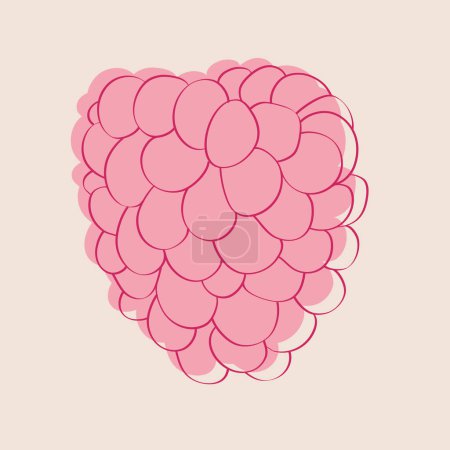 Téléchargez les illustrations : Framboise rose couchée sur un fond rose vif. Le fruit apparaît frais et mûr, prêt à être dégusté - en licence libre de droit