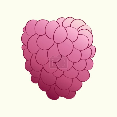 Ilustración de Frambuesa rosa, fresca y vibrante, se muestra sobre un fondo blanco limpio. Las frambuesas están maduras y regordetas, listas para ser disfrutadas como un aperitivo saludable o en recetas. - Imagen libre de derechos
