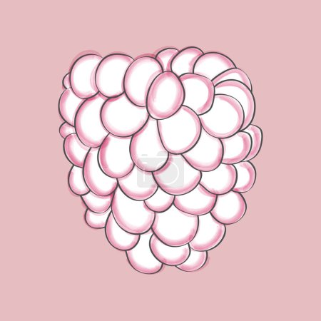 Illustration for Black and white raspberry arranged on a soft pink background. The raspberries are plump and ripe, with a glossy sheen - Royalty Free Image