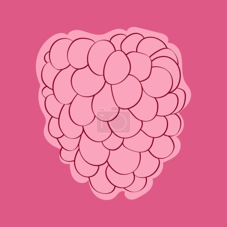 Illustration for Hand-painted raspberry is placed on a solid pink background. The setting creates a vibrant and visually appealing composition - Royalty Free Image
