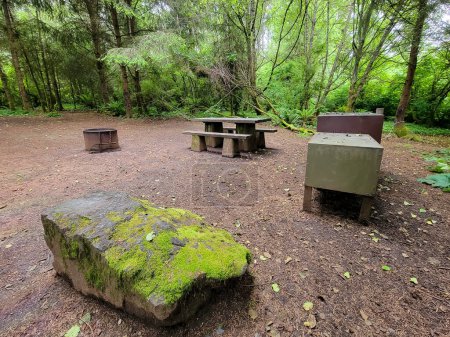 Photo for An empty campsite in the woods with picnic table, fire pit, and bear box. - Royalty Free Image