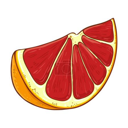 Blutorange Frucht Farbige Detaillierte Illustration. Natürliche biologische und gesunde Nahrungsmittelzutat, vegetarisches Diätprodukt. Vektor isoliert für Design oder Dekoration.