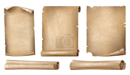 Illustration for Set of Ancient Paper or Parchment Scrolls, realistic vector illustration on white background - Royalty Free Image