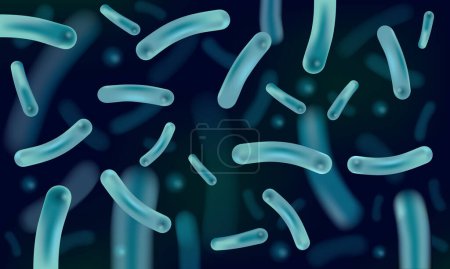 Ilustración de Probióticos Lactobacilo para restaurar la flora intestinal, ilustración vectorial 3D realista de cerca - Imagen libre de derechos