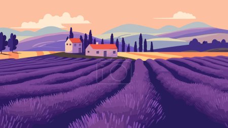 Téléchargez les photos : Belles couleurs violettes champs de lavande Provence en France. Illustration vectorielle. - en image libre de droit