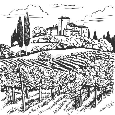 Téléchargez les photos : Vignoble en Toscane, Italie. Illustration vectorielle dessinée à la main. - en image libre de droit