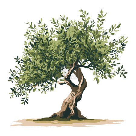 Illustration for Olive tree vector illustration isolated on a white background. Hand-drawn olive tree icon. - Royalty Free Image