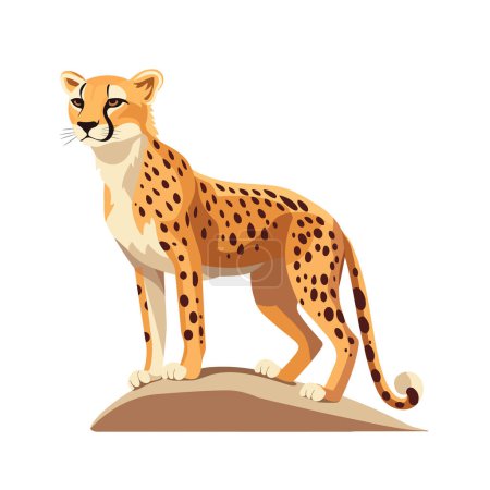 Illustration for African cheetah isolated on white background. Vector stock - Royalty Free Image