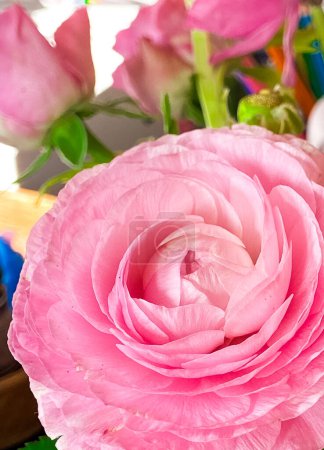 Téléchargez les photos : Photo de fleurs Ranunculus dans un vase sur la table - en image libre de droit