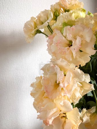 Photo for Photo of a delicate bouquet of white Eustoma flowers in vase on a white background - Royalty Free Image