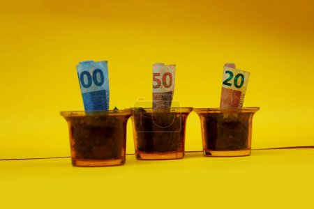 Brazilian Money Planted in a Pot or Vaze over Yellow Background. Concept image of Brazilian Economy Growth.