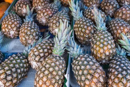 Photo for Free Fair Street Market Stall With Pineapple. Traditional Brazilian Free Fair. - Royalty Free Image