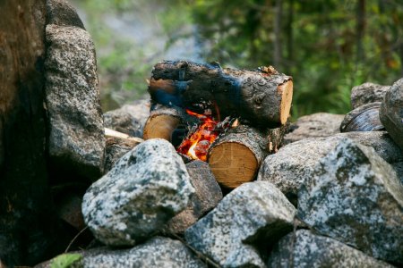 Campfire burns within a ring of stones, the wood crackling as it turns to embers amidst forest nature