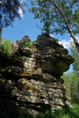 Las formaciones rocosas rugosas se elevan dentro de un bosque, sus contornos en capas resaltados por la luz solar que se filtra a través de los árboles