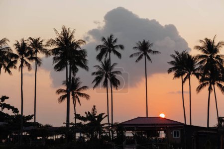 Le soleil se couche dans un ciel aux couleurs chaudes, moulant des silhouettes de palmiers et une maison. Koh Samui Island, Thaïlande