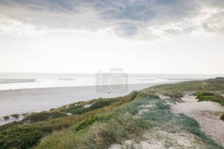 Dune landscape in Blavand, Denmark.