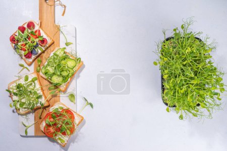 Photo for Vegetable and fruit microgreen sandwiches. Homemade toasts sandwiches with tomato, cucumber, berry fruits and a lot of microgreen baby leaves sprouts, white table background copy space - Royalty Free Image