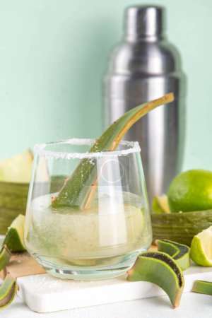 Aloe-Margarita-Cocktail mit salzigem Rand, Limetten- und Aloe-Vera-Scheiben, Alkoholgetränk mit Tequila und Aloe-Saft, Kopierraum