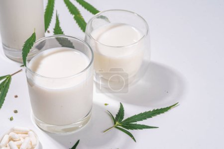 Cannabis milk. Non-dairy lactose free vegan milk from hemp seeds, on white background of cannabis leaves, industrial use of marijuana. Legal use of hemp product concept. 