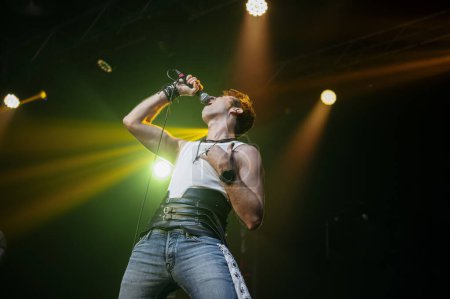 Foto de Artista cantando actuando ante el público en un concierto en vivo. - Imagen libre de derechos