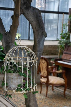 An aesthetic boho composition with a vintage cage in the center of which is a potted plant. A romantic photo that has a fabulous vibe and a retro mood.