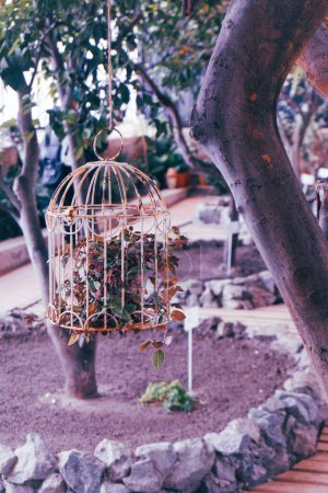 An aesthetic composition in boho style with a vintage cage in the center of which is a green plant with a branch extending outward. There is a lot of diverse greenery around