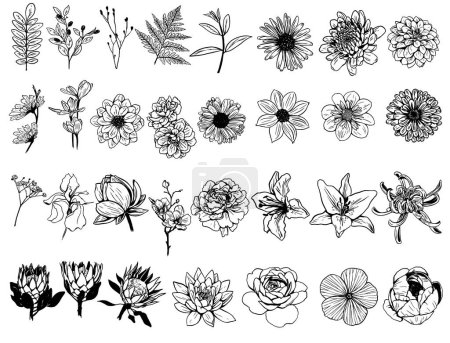 A set of vector, linear, hand-drawn floral sketches. The set is suitable for creating designs for postcards, invitations, business cards in a vintage gentle style.