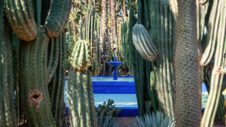 Foto de Marrakech, Marruecos - 16 de septiembre de 2022: Fuente azul dentro del Jardín Majorelle de Yves Saint Laurent, Casa Oasis, un jardín botánico diseñado por Yves Saint Laurent - Imagen libre de derechos