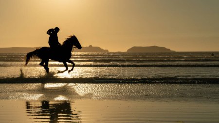 Foto de Essaouira, Marruecos - 13 de septiembre de 2022: Silueta de un caballo y jinete no identificado en la playa de Essaouira Mogador, Marruecos - Imagen libre de derechos