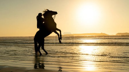 Foto de Silueta de caballo y jinete no identificado en la playa de Essaouira Mogador, Marruecos - Imagen libre de derechos