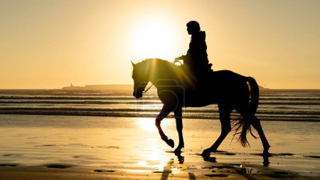 Foto de Silueta de caballo y jinete no identificado en la playa de Essaouira Mogador, Marruecos - Imagen libre de derechos