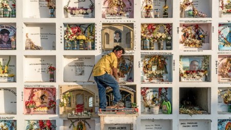 Photo for Ica, Peru - 24 October 2023: Grave keeper working at traditional Peruvian cemetery with stacked crypts and shadowbox window, maintaining the final resting places, keeping them neat and dignified. - Royalty Free Image
