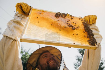 Foto de El apicultor sostiene una celda de miel con abejas en sus manos. Apicultura. Apiario. Abejas trabajando en panal de miel. Panal con miel y abejas de cerca. - Imagen libre de derechos