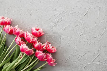 Photo for Pink tulips bouquet on a stylish gray stone background, selective focus. Mothers Day, birthday celebration concept. Copy space for text - Royalty Free Image