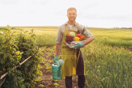 Téléchargez les photos : Heureux agriculteur homme panier d'exploitation avec légumes frais et arrosoir, concept de jardinage - en image libre de droit