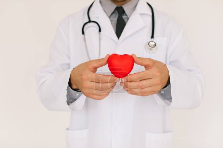 Téléchargez les photos : Le médecin cardiologue masculin tenant le cœur sur fond blanc - en image libre de droit