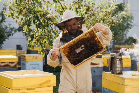 Photo for The beekeeper holds a honey cell with bees in his hands. Apiculture. Apiary. Working bees on honey comb. Honeycomb with honey and bees close-up. - Royalty Free Image