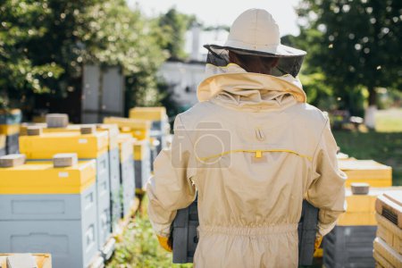 Téléchargez les photos : Un apiculteur mâle en costume de protection tient une ruche dans un rucher, vue de dos - en image libre de droit